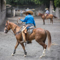 The Evolution of Competitions in Central Texas