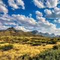 The Thriving World of Competitions in Central Texas