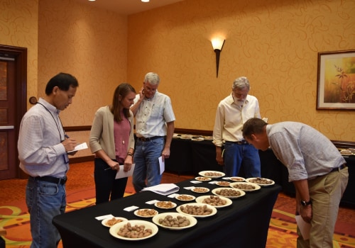 The Judging Process for Competitions in Central Texas