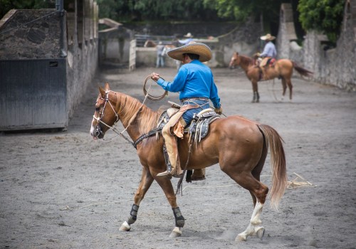 The Evolution of Competitions in Central Texas